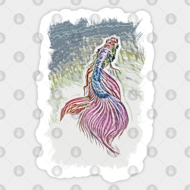 Siamese fighting fish (Betta splendens) / BETTA Sticker by Naumovski